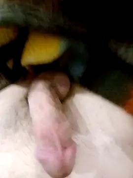 Adix 02six online show from 03.10.26