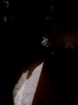 Adix 02six online show from 04.14.26