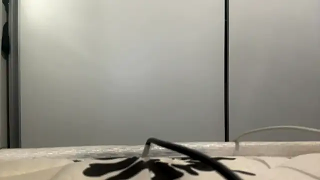 LatoshaLipitz online show from 03.06.26