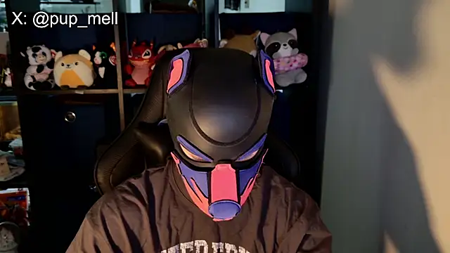 Snapshot of MellPUP chatting on 08.04.26 MellPUP online show from 08.04.26