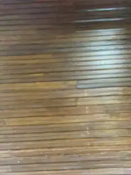 Morgana Pink online show from 04.11.26