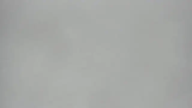 KoralCruz  online show from 03.24.26