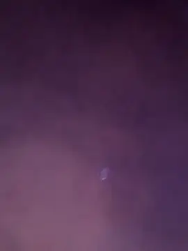 comedos online show from 03.07.26