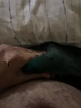 el sfaa7 online show from 04.10.26