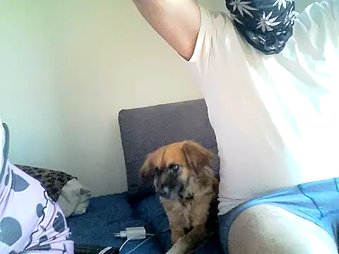 Snapshot of SirNefastus chatting on 04.12.26 SirNefastus online show from 04.12.26