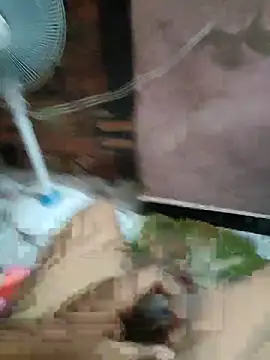 Daddy 883 online show from 03.10.26