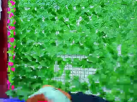 asshoney Abby online show from 04.07.26