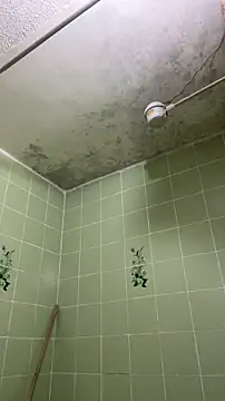 sylphiee  online show from 04.08.26