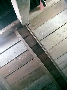 hasaki001 online show from 04.13.26