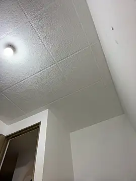 LauTul online show from 04.15.26