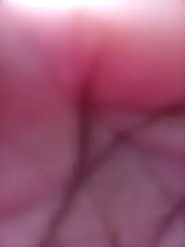 SexyJellyBee online show from 03.18.26