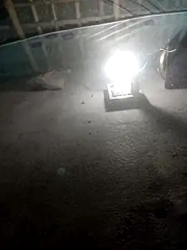 hot honey 66 online show from 04.18.26