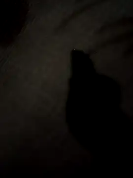 SEXY COUPLE65 online show from 03.24.26