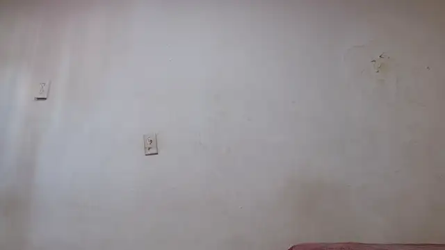 pircohg online show from 04.22.26