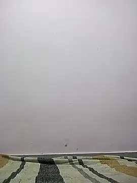 Snapshot of M__Payal__ chatting on 03.22.26 M Payal online show from 03.22.26