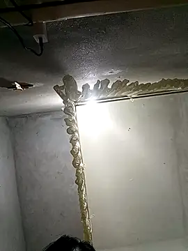 Candy-sexyy online show from 04.03.26