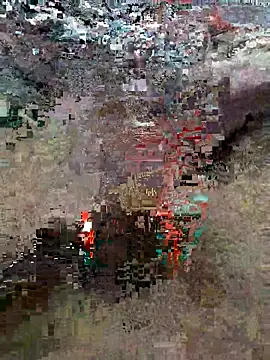 Snapshot of Alimohamed08 chatting on 03.25.26 Alimohamed08 online show from 03.25.26