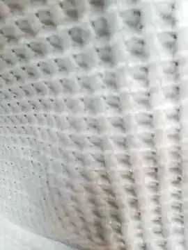 Aurora Nova online show from 03.25.26