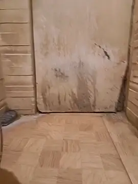 saura545 online show from 04.05.26