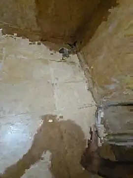 tamilpaiyan354 online show from 04.25.26