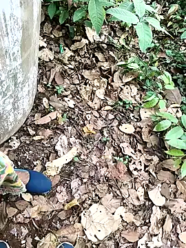 Chandni78 online show from 04.02.26