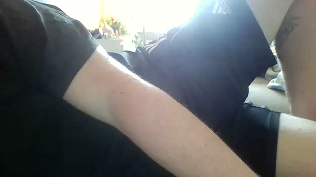 Pallmees online show from 04.20.26