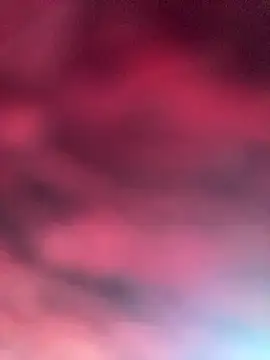 Snapshot of eu_elisa chatting on 04.01.26 eu elisa online show from 04.01.26