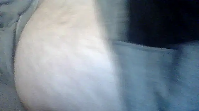 Snapshot of TBFL0204 chatting on 07.30.26 TBFL0204 online show from 07.30.26
