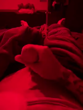 Dstat715 online show from 04.19.26