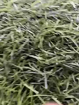 X-boy-11 online show from 04.16.26