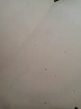 Luizfabiano887 online show from 04.29.26