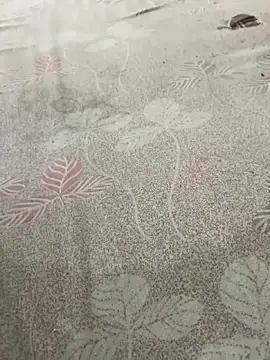 pujaji098 online show from 04.13.26