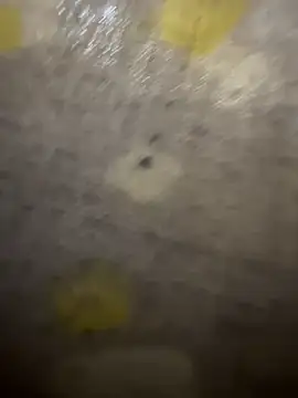 Snapshot of xezie chatting on 04.10.26 xezie online show from 04.10.26