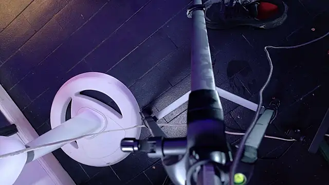 Damian nix online show from 04.17.26