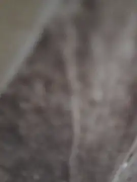 sk022 online show from 04.15.26