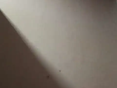 SL Uma online show from 04.19.26