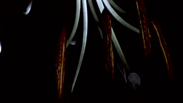 Vandaaethusa online show from 04.16.26