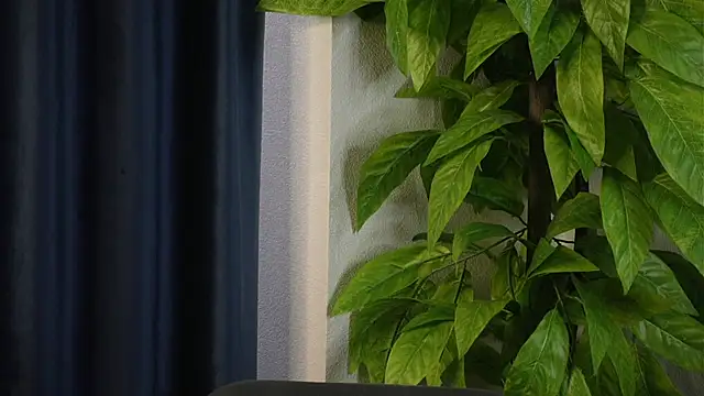 SelmaHjort online show from 04.27.26