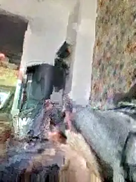 bellequeue147 online show from 04.21.26