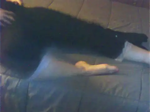 Cuginetti online show from 04.27.26