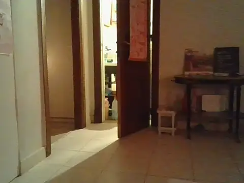 plsmecha online show from 07.02.26