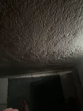 novinho0seu online show from 04.27.26