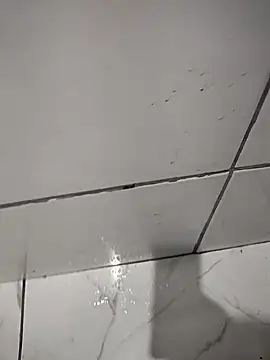 smookfir online show from 04.26.26