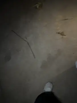   I like    online show from 04.30.26