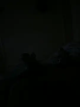 Snapshot of Timmy_T chatting on 05.15.26 Timmy T online show from 05.15.26