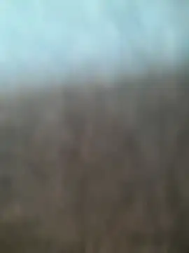 Snapshot of kasalsecrets chatting on 07.02.26 kasalsecrets online show from 07.02.26