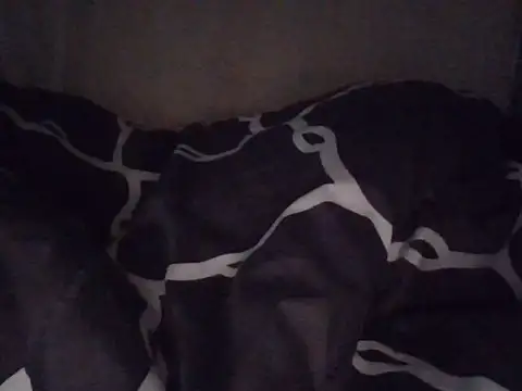 fatpusy002 online show from 06.26.26