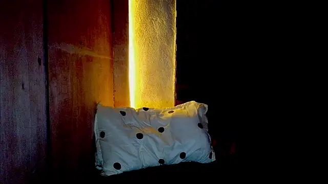 Pretty Bug online show from 05.30.26