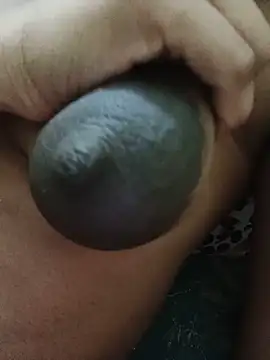 Rekha gupta01 online show from 05.28.26