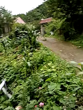 Elfledaa online show from 06.20.26